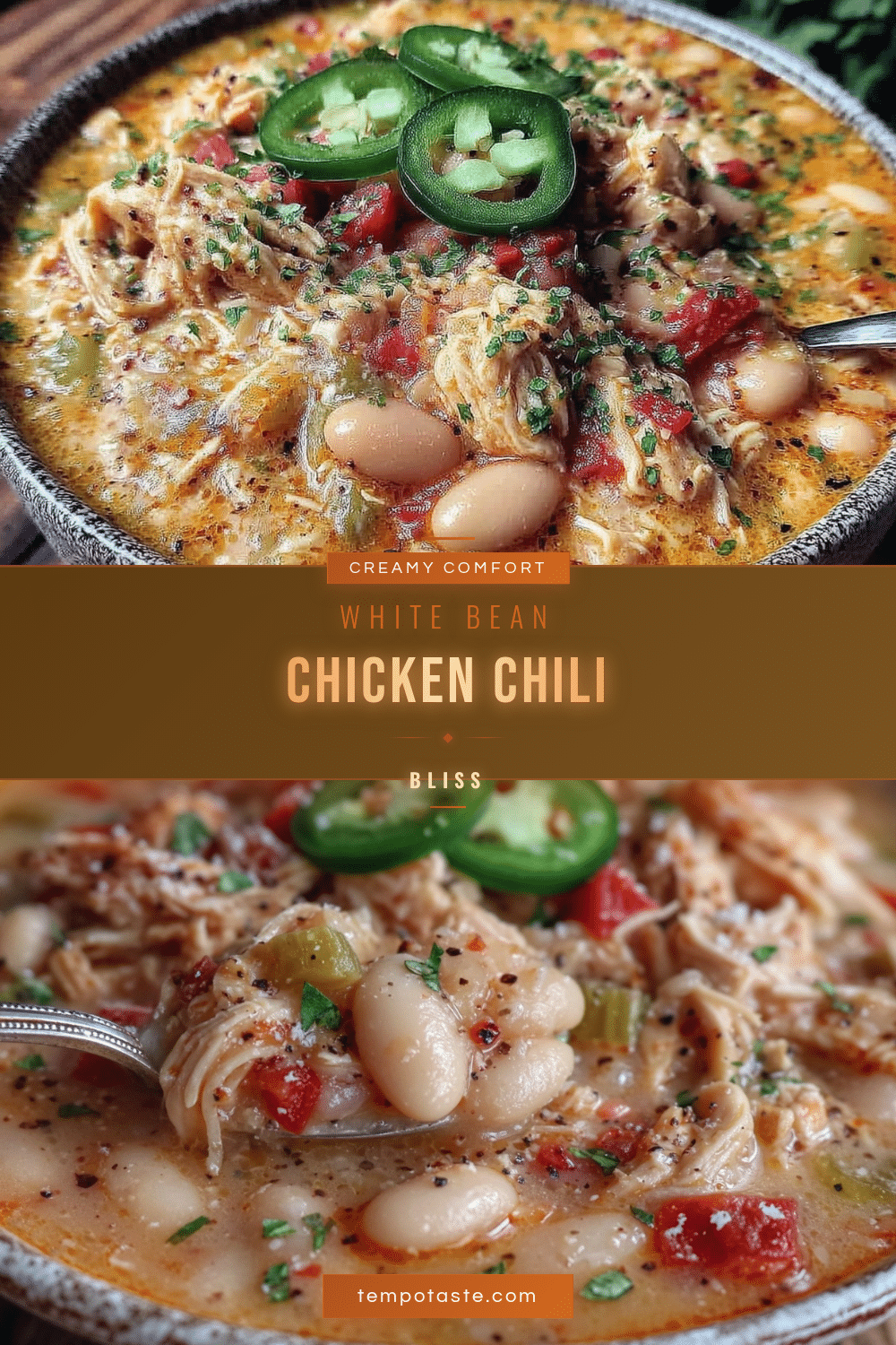 creamy white bean chicken chili recipe