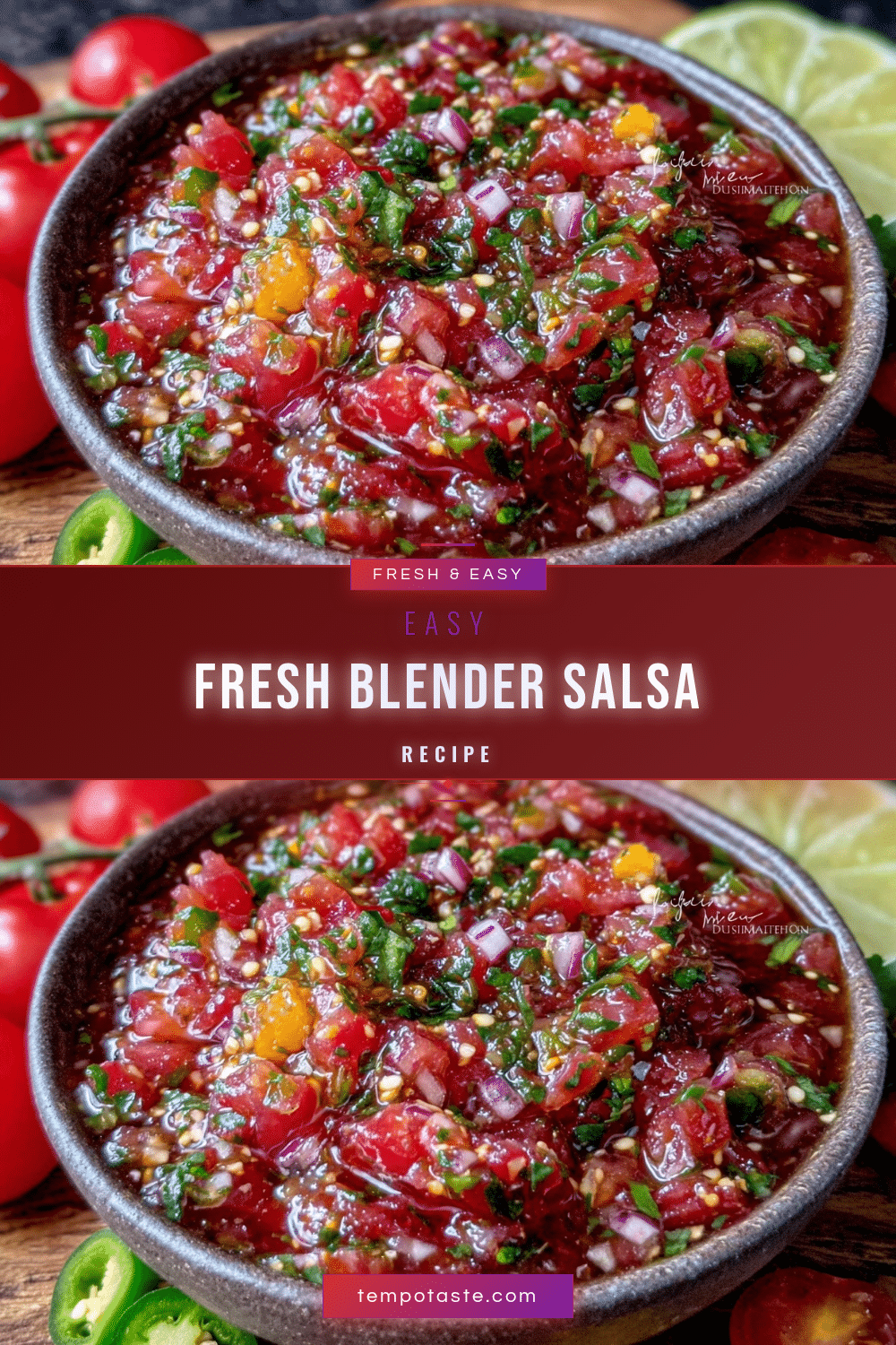 easy fresh blender salsa recipe recipe