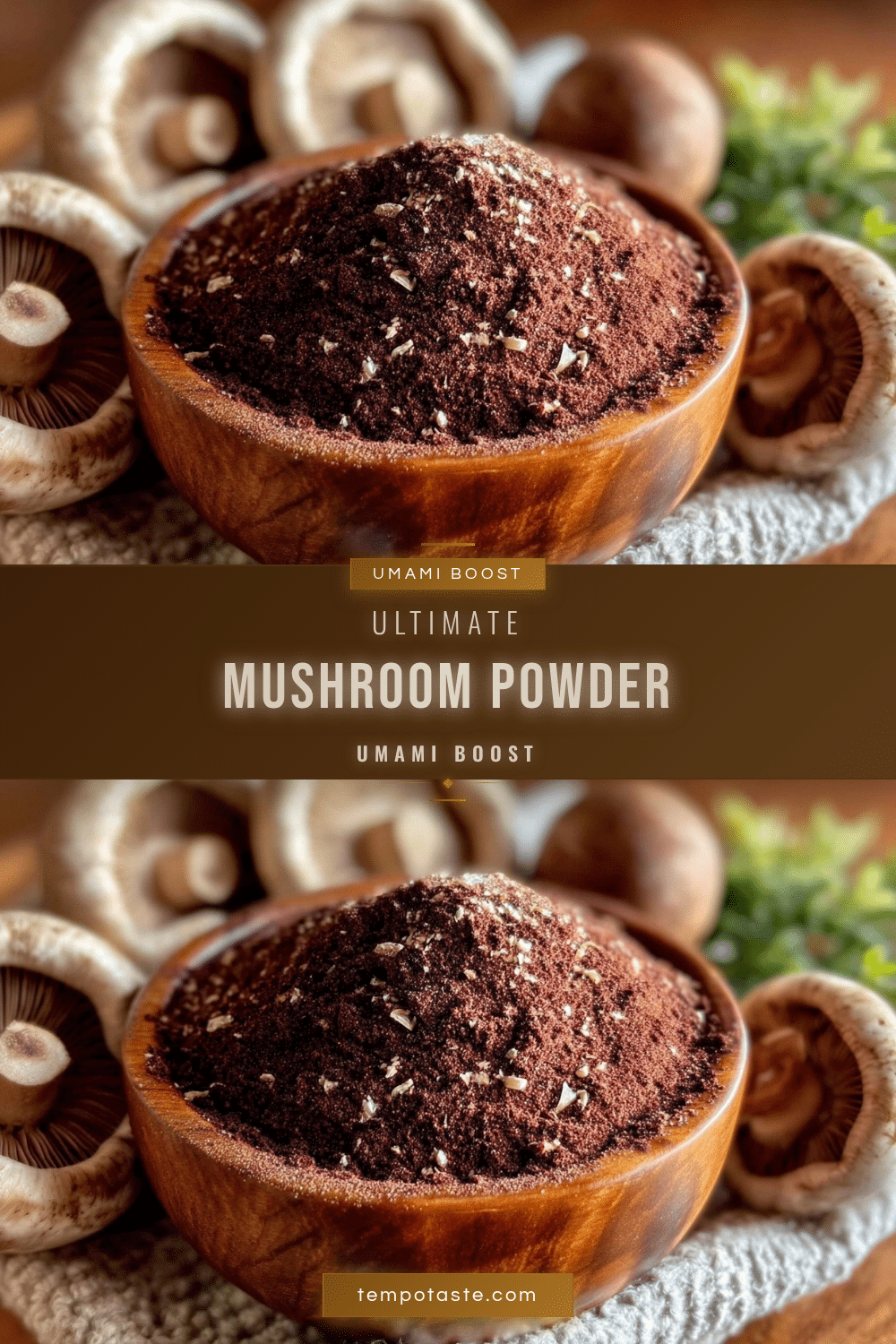 mushroom powder recipe recipe