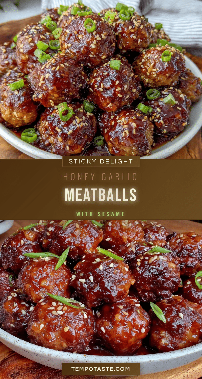 slow cooker honey garlic meatballs recipe