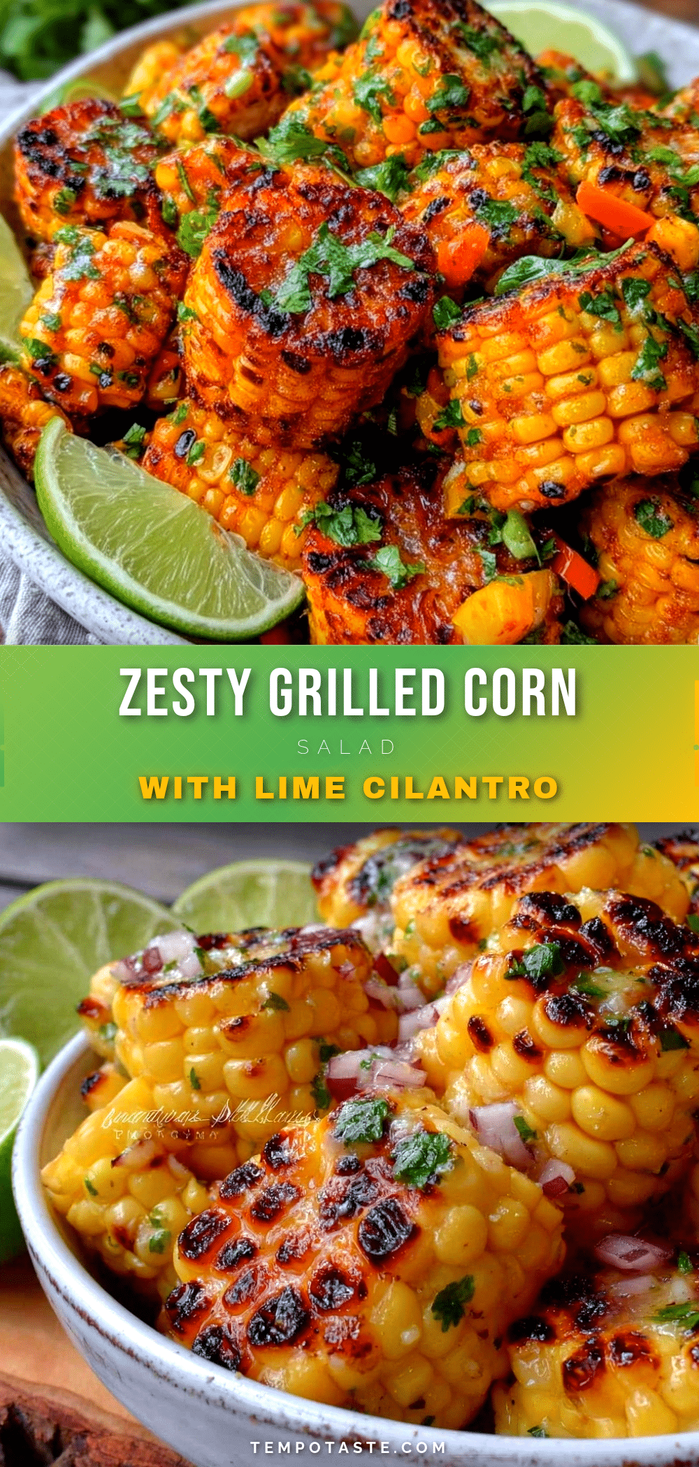 fresh grilled corn salad recipe