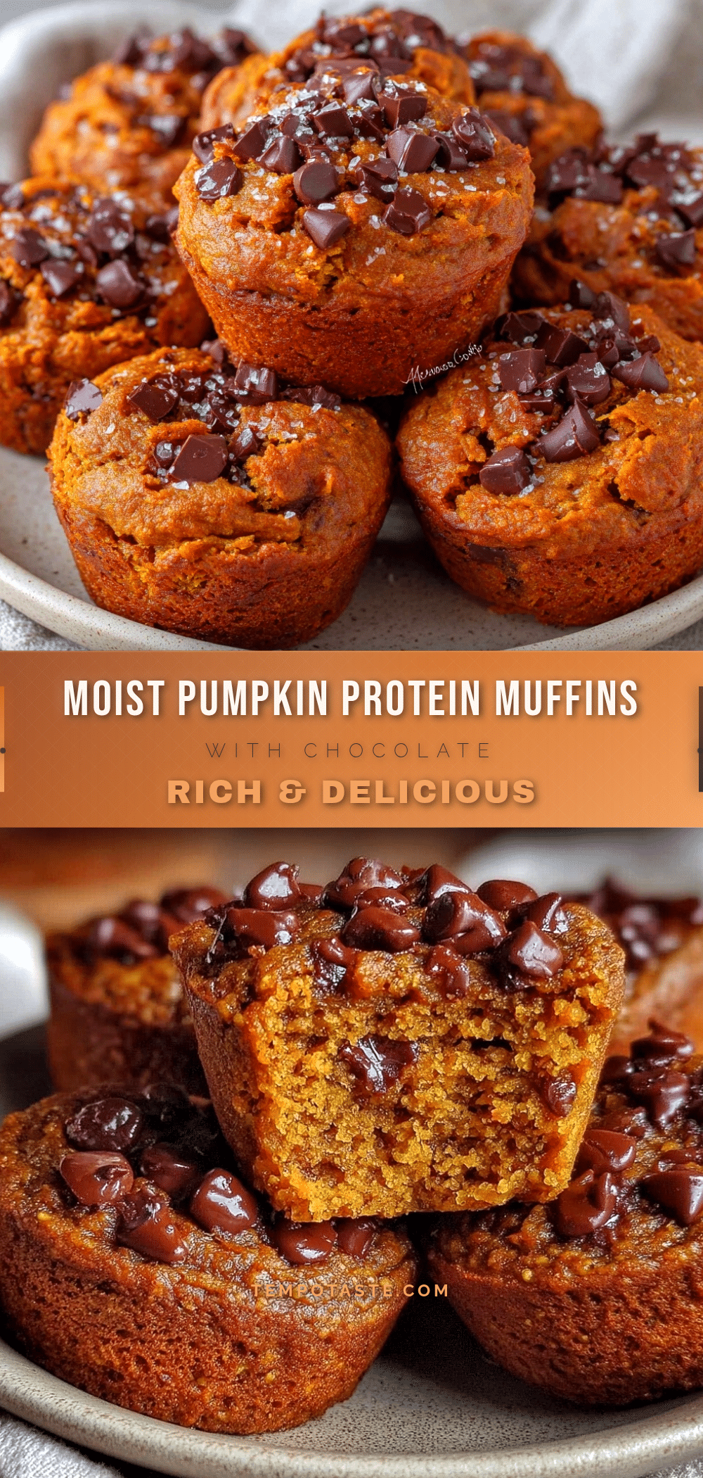 moist pumpkin protein muffins recipe